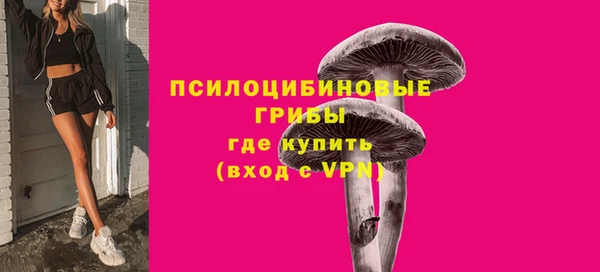 СК Абдулино