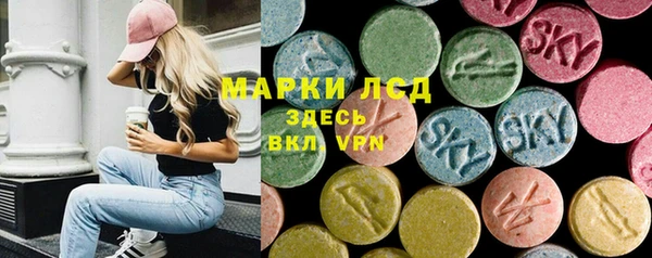 ешки Снежногорск