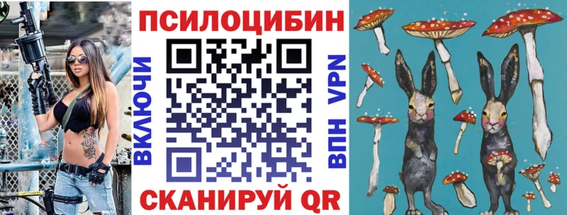 дарнет шоп  Мурино  Галлюциногенные грибы ЛСД 