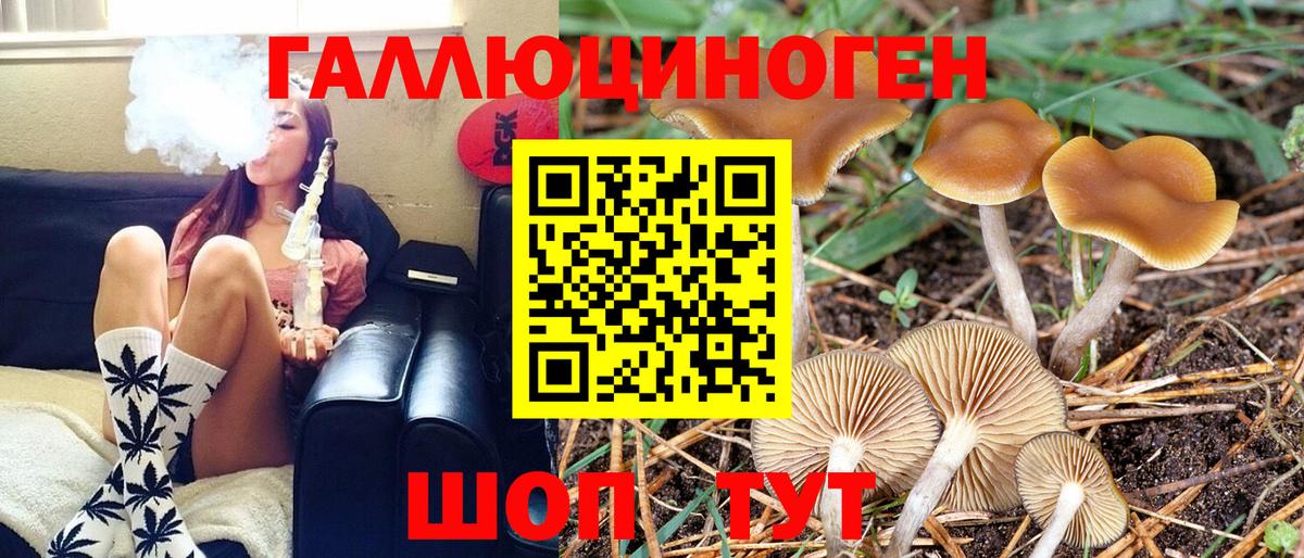 Галлюциногенные грибы прущие грибы Мурино
