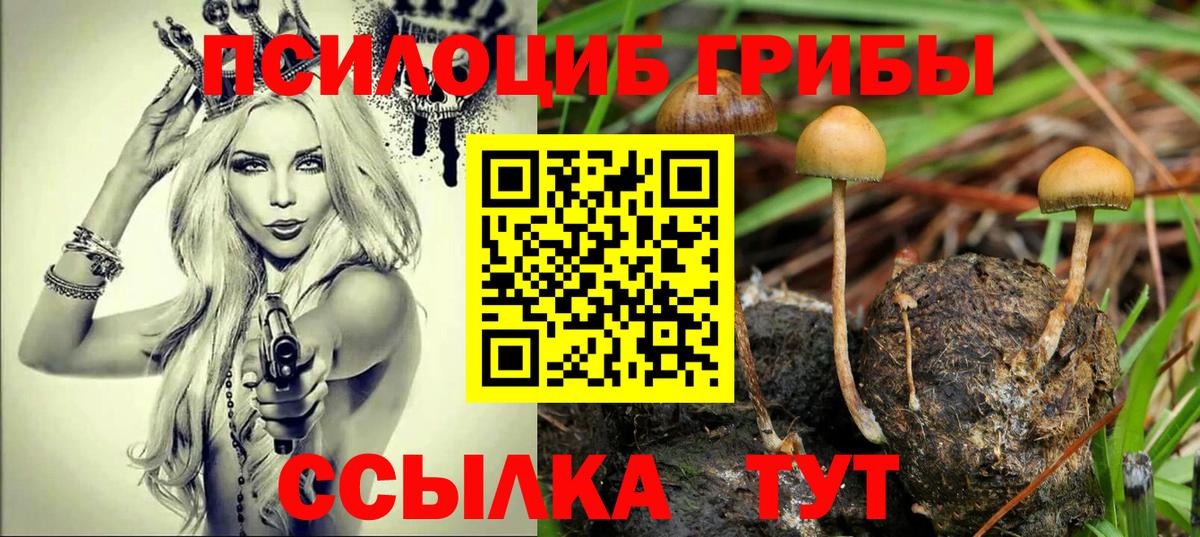 Мурино  Псилоцибиновые грибы GOLDEN TEACHER  Вход с VPN 